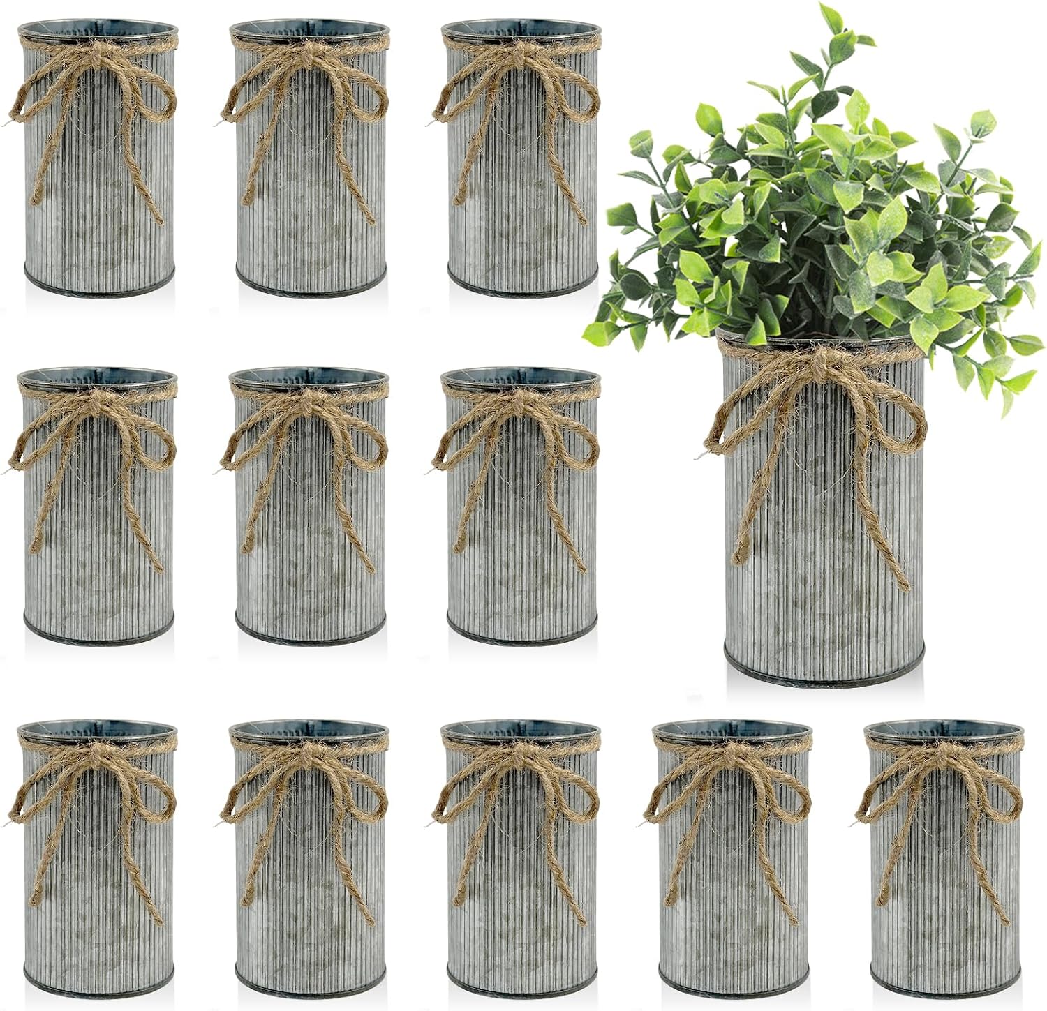 Rainmae 12 Pcs 4.3×2.6 Inch Fa...