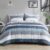 Madison Park Essentials Jaxon Bed in a Bag Comforter Set with Sheet, Printed Stripe Design, Modern All Season Bedding and Matching Sham, Queen Blue/Grey 7 Piece